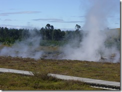 SDC12339