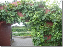 SDC12723