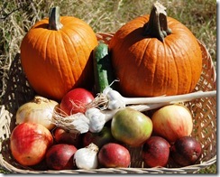 072LR Produce Harvest