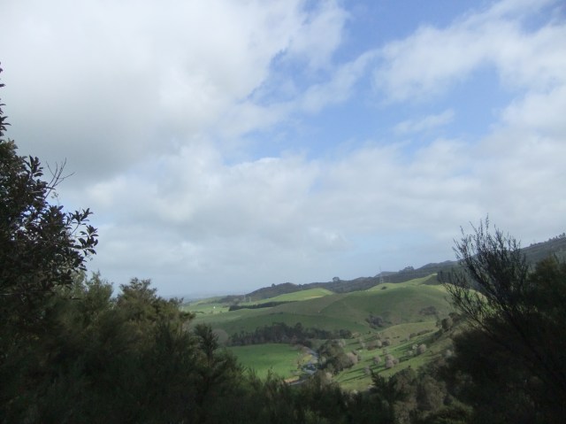 marmsky devotions pics December 2016 (25)