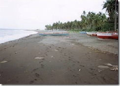 LAND27 (3)