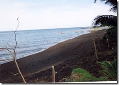 LAND28 (3)