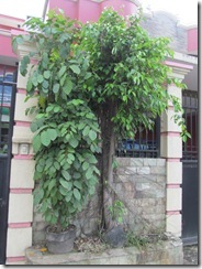 January 2015 (13)
