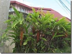 January 2015 (15)