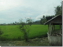 January 2015 (5)
