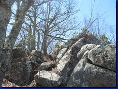 May 2015 (5)