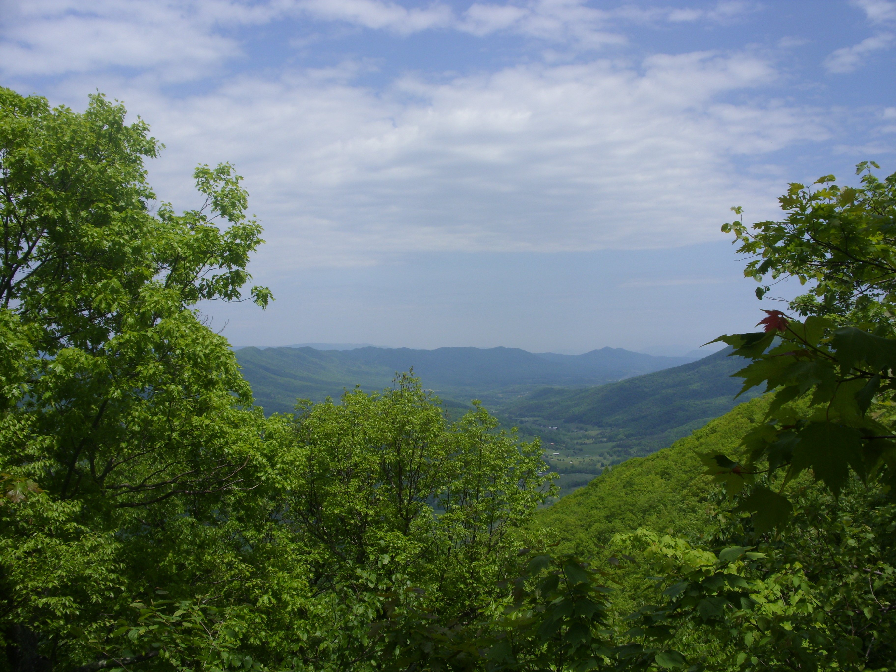 March 2016 (11)