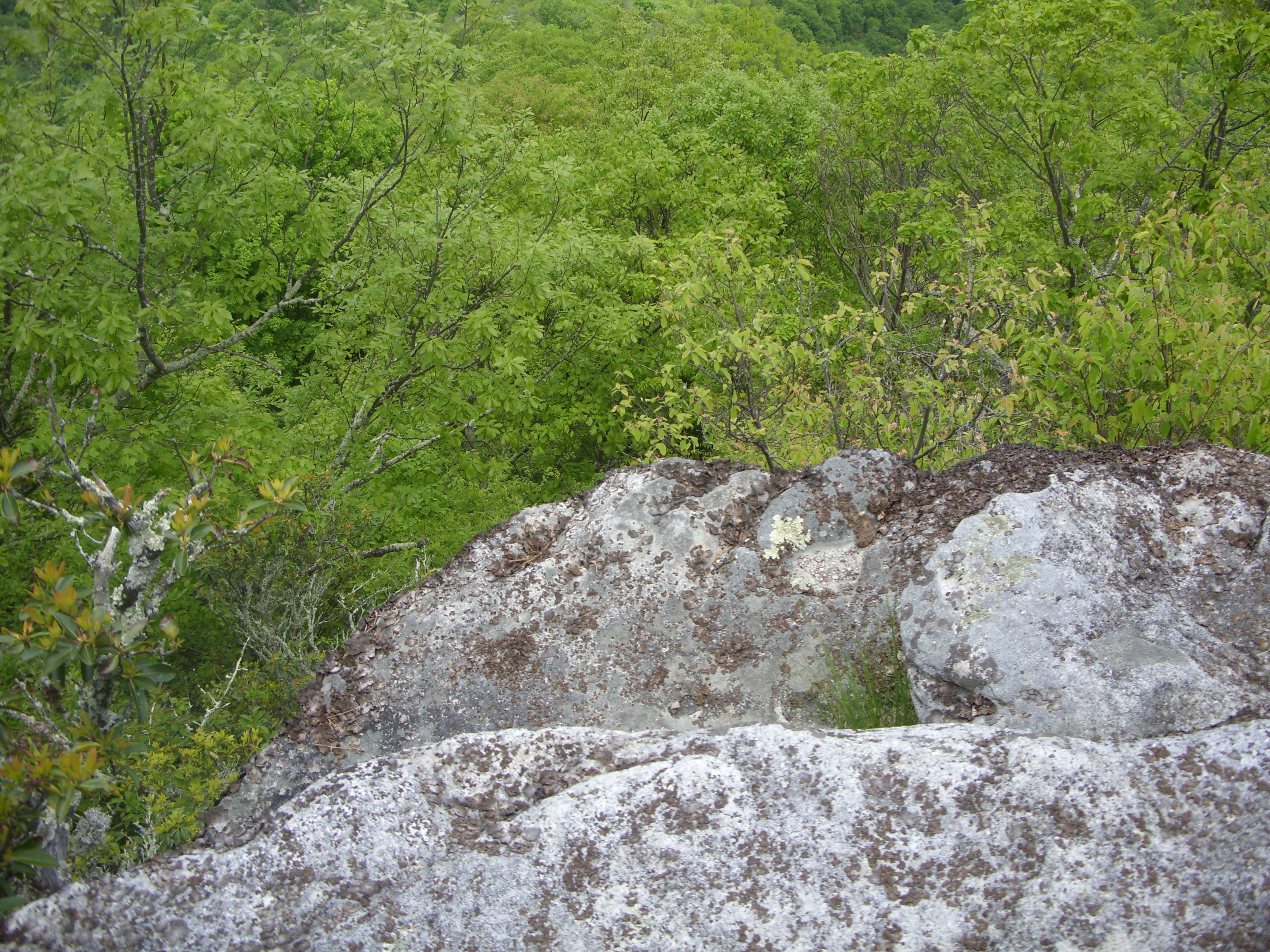 March 2016 (21)