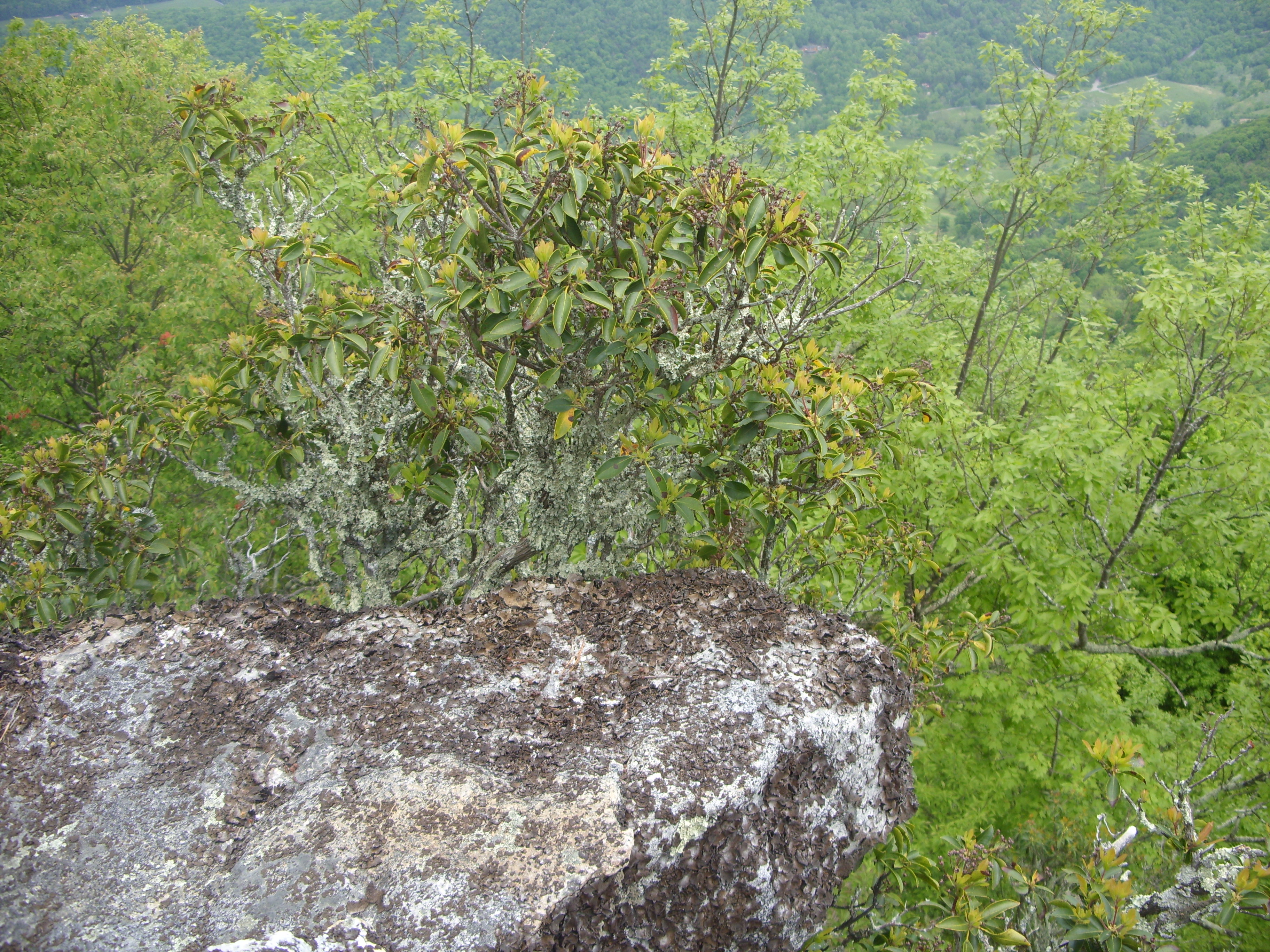 March 2016 (22)