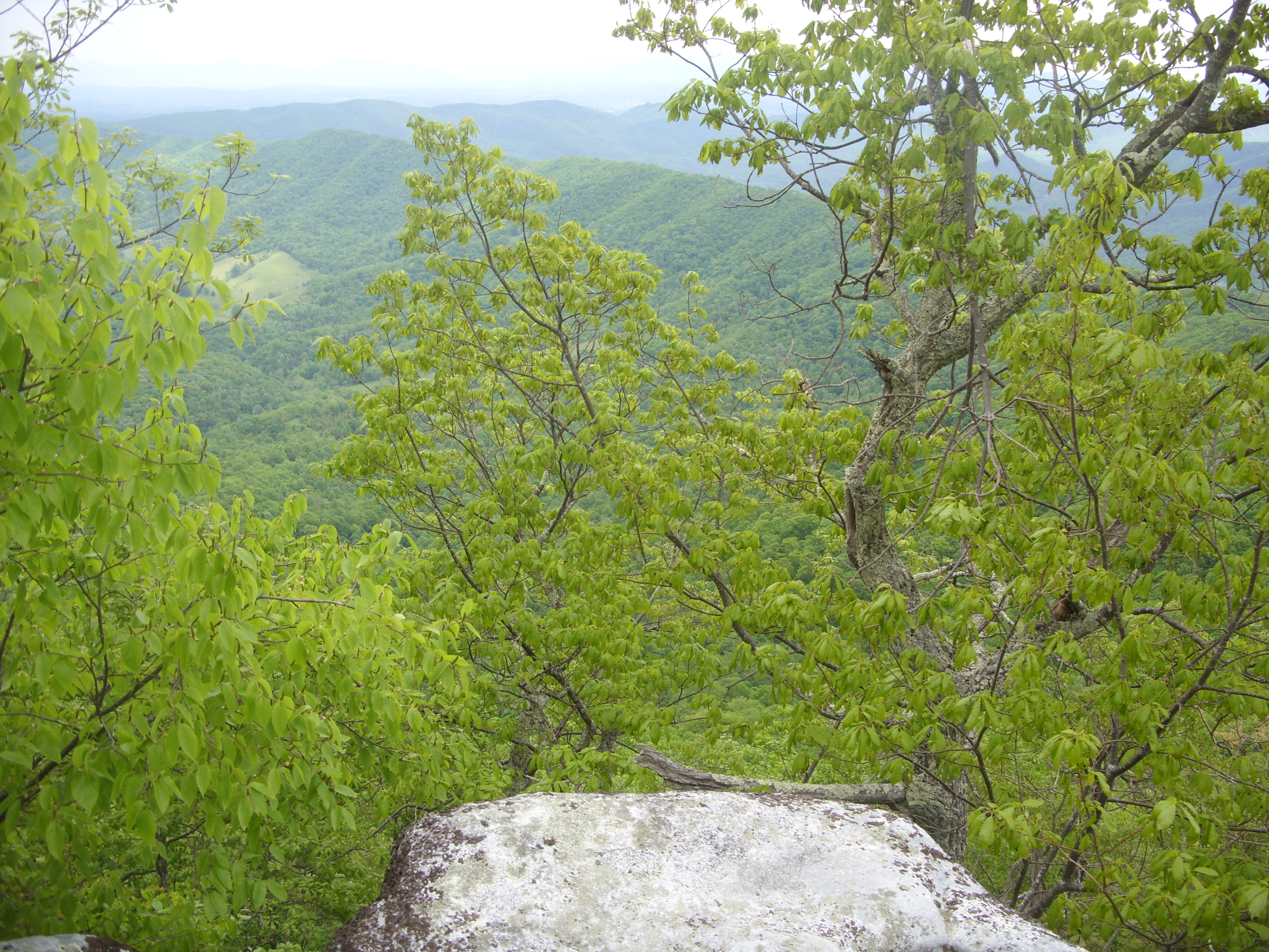 March 2016 (27)