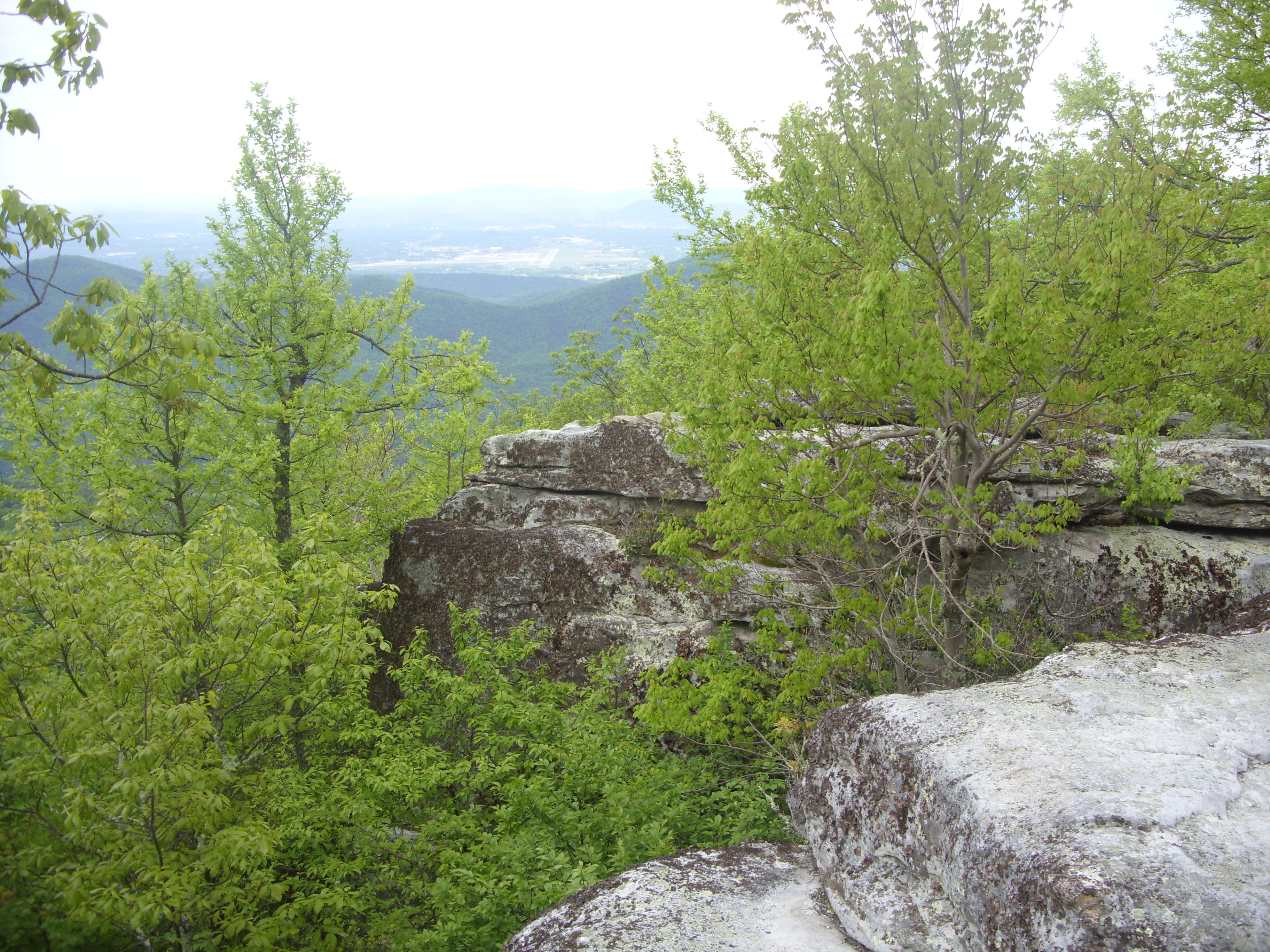 March 2016 (28)