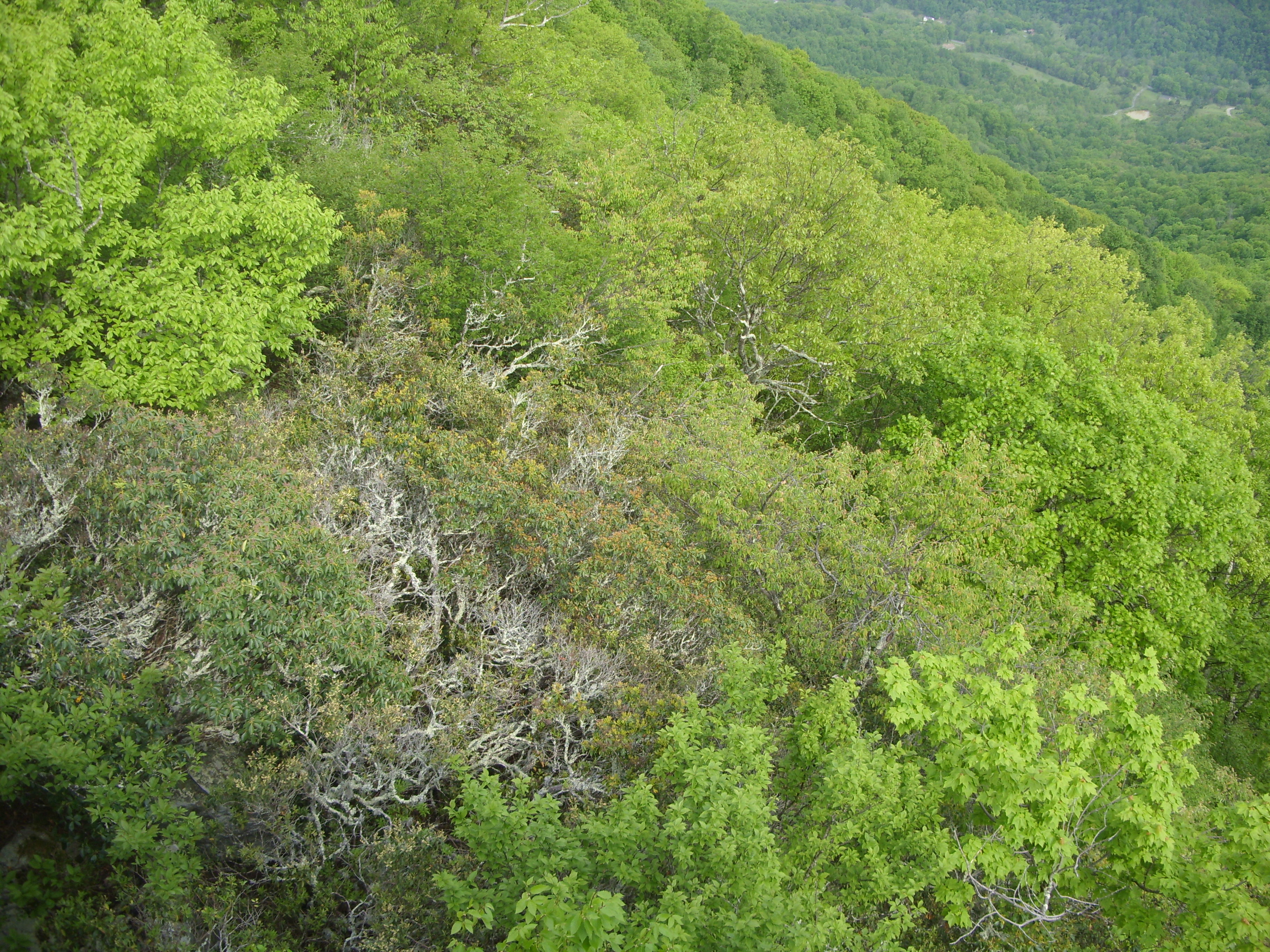March 2016 (3)