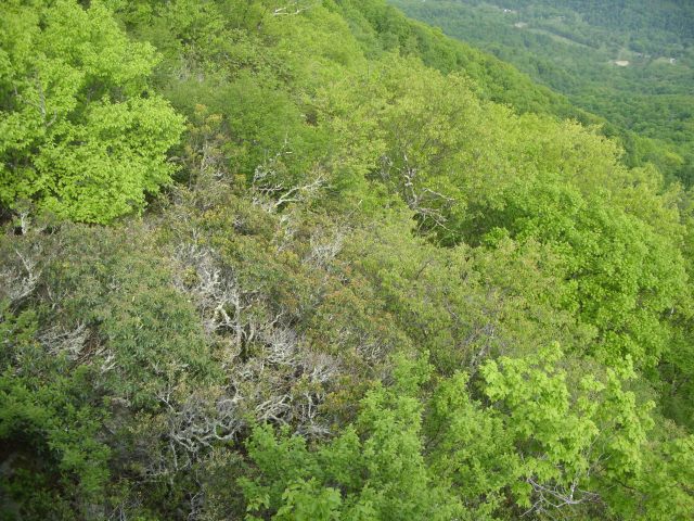 March 2016 (3)