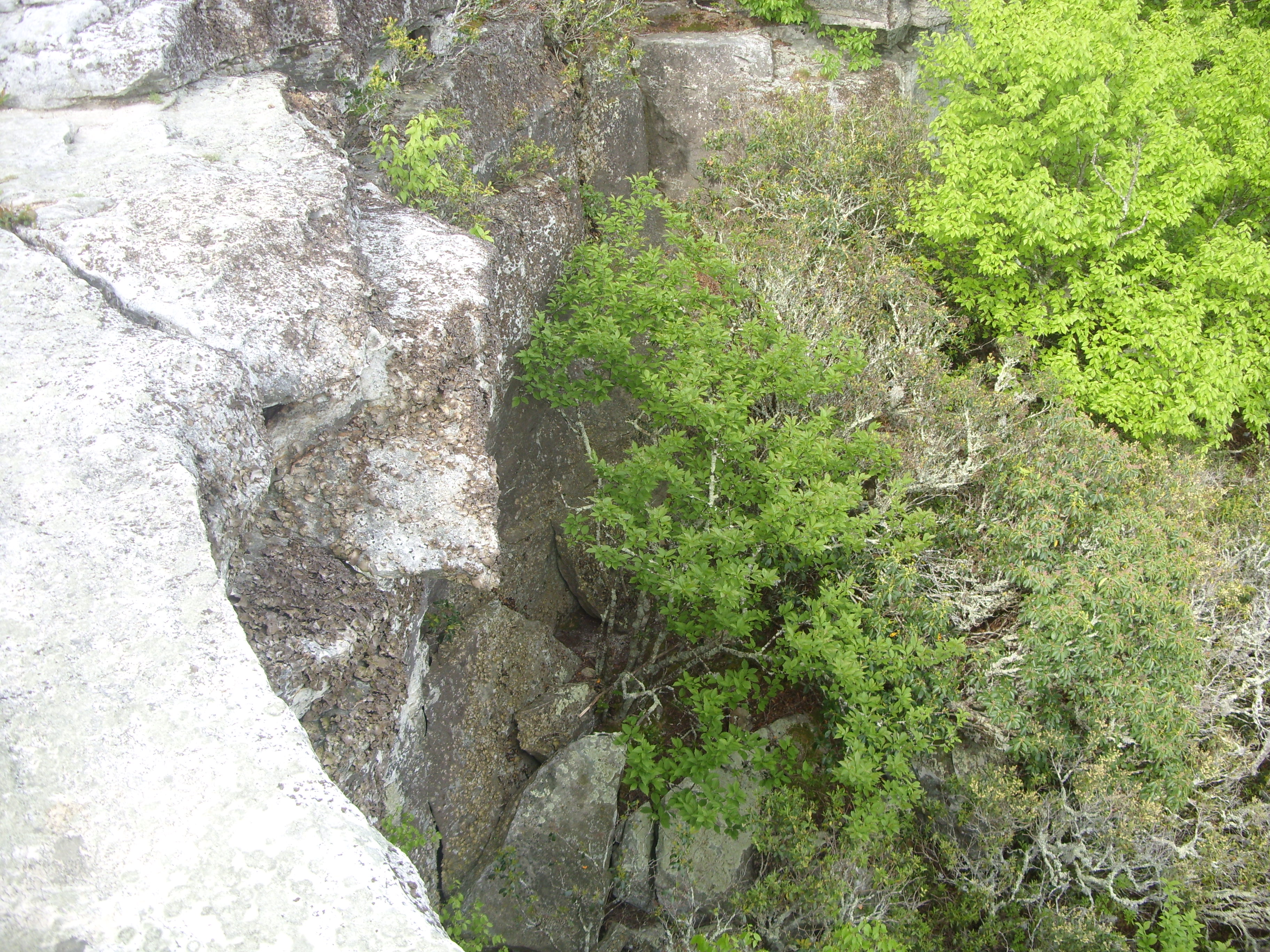 March 2016 (4)