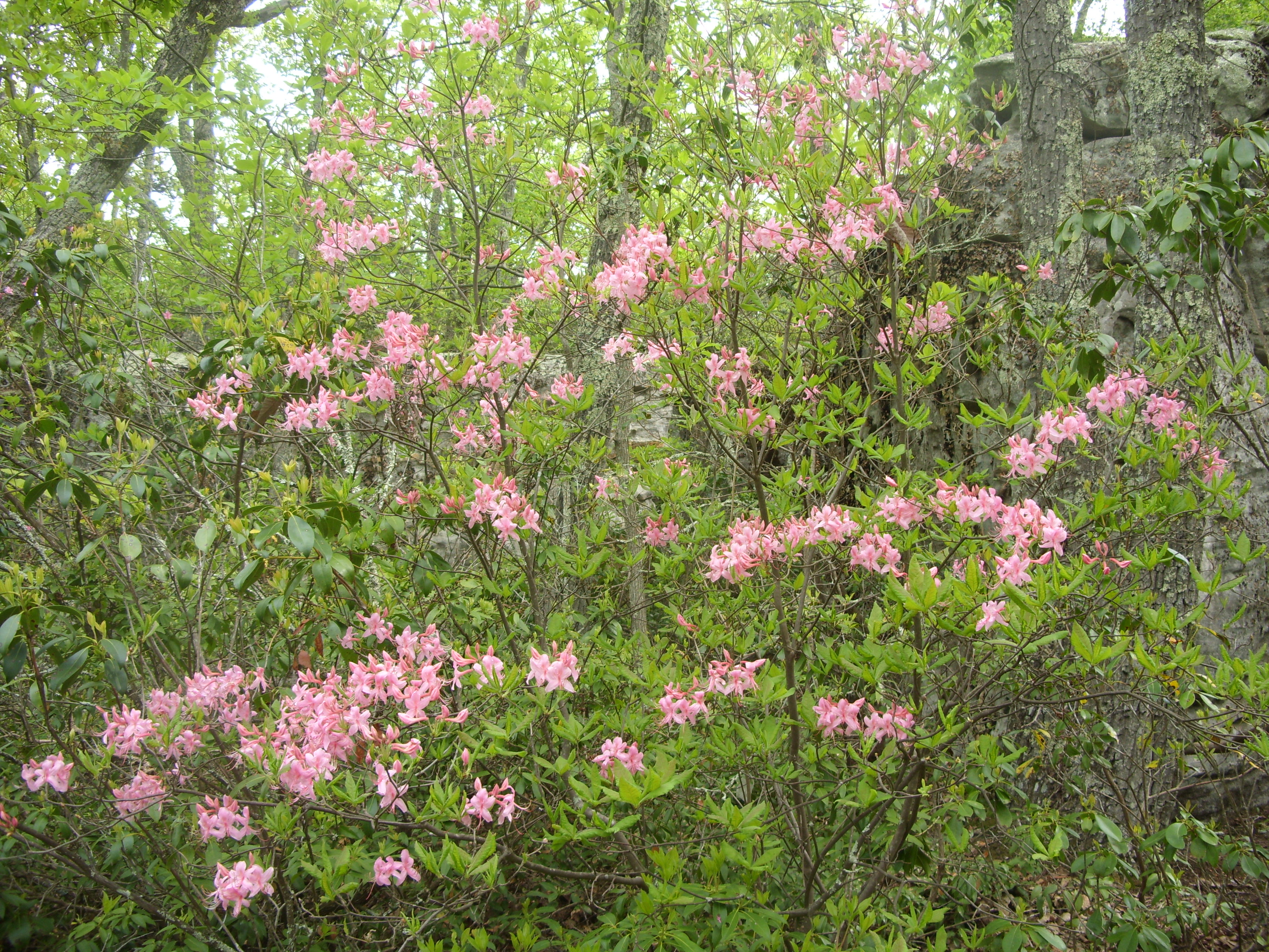 March 2016 (6)