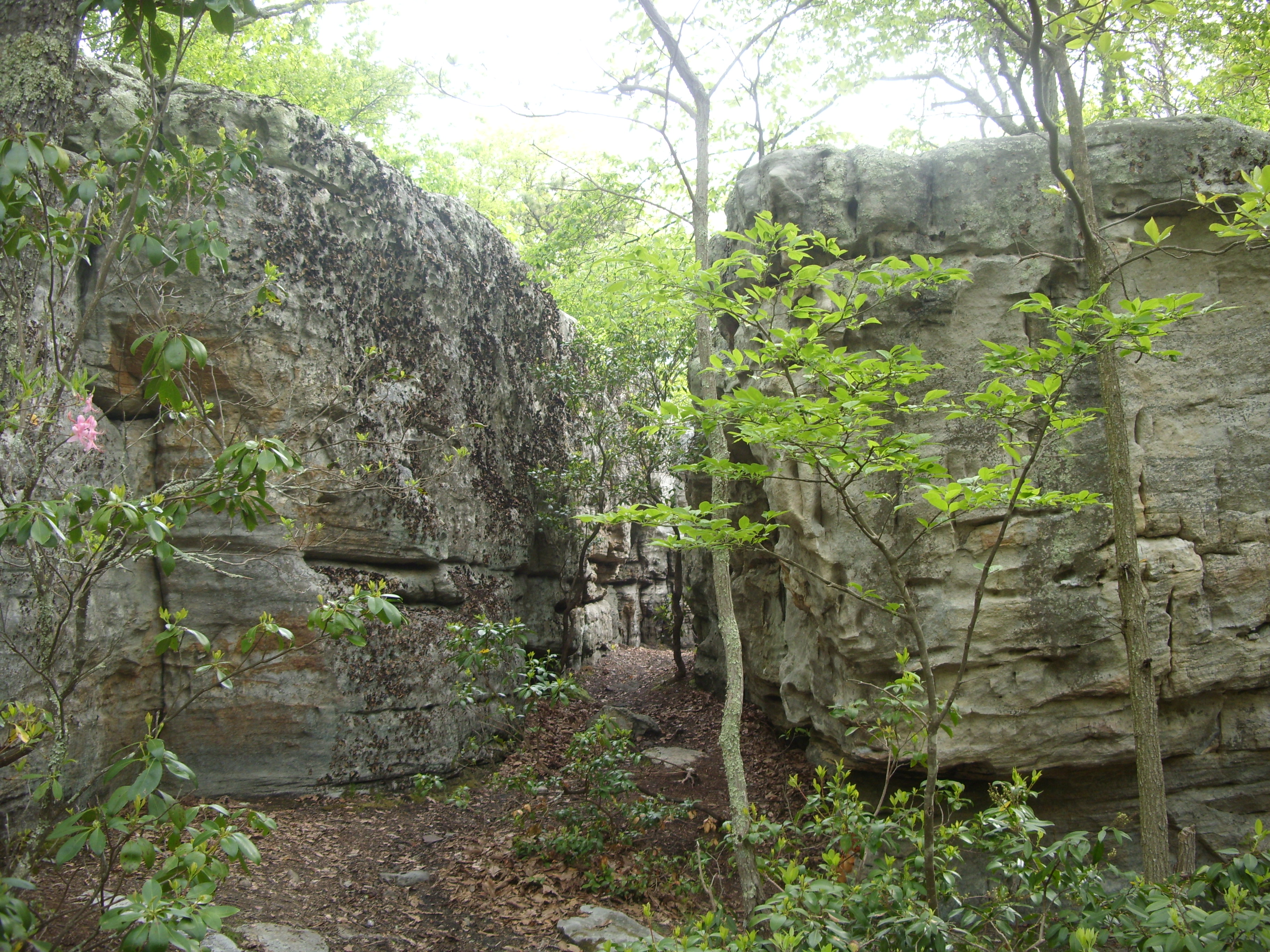 March 2016 (7)