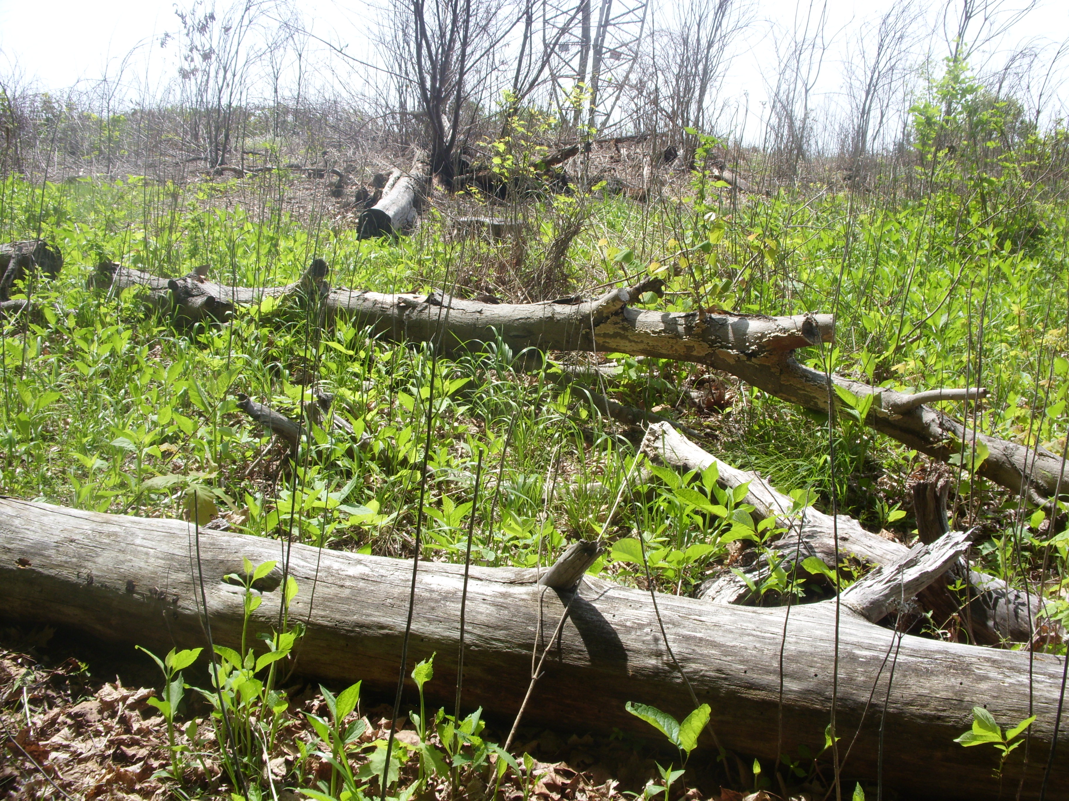 March 2016 (8)