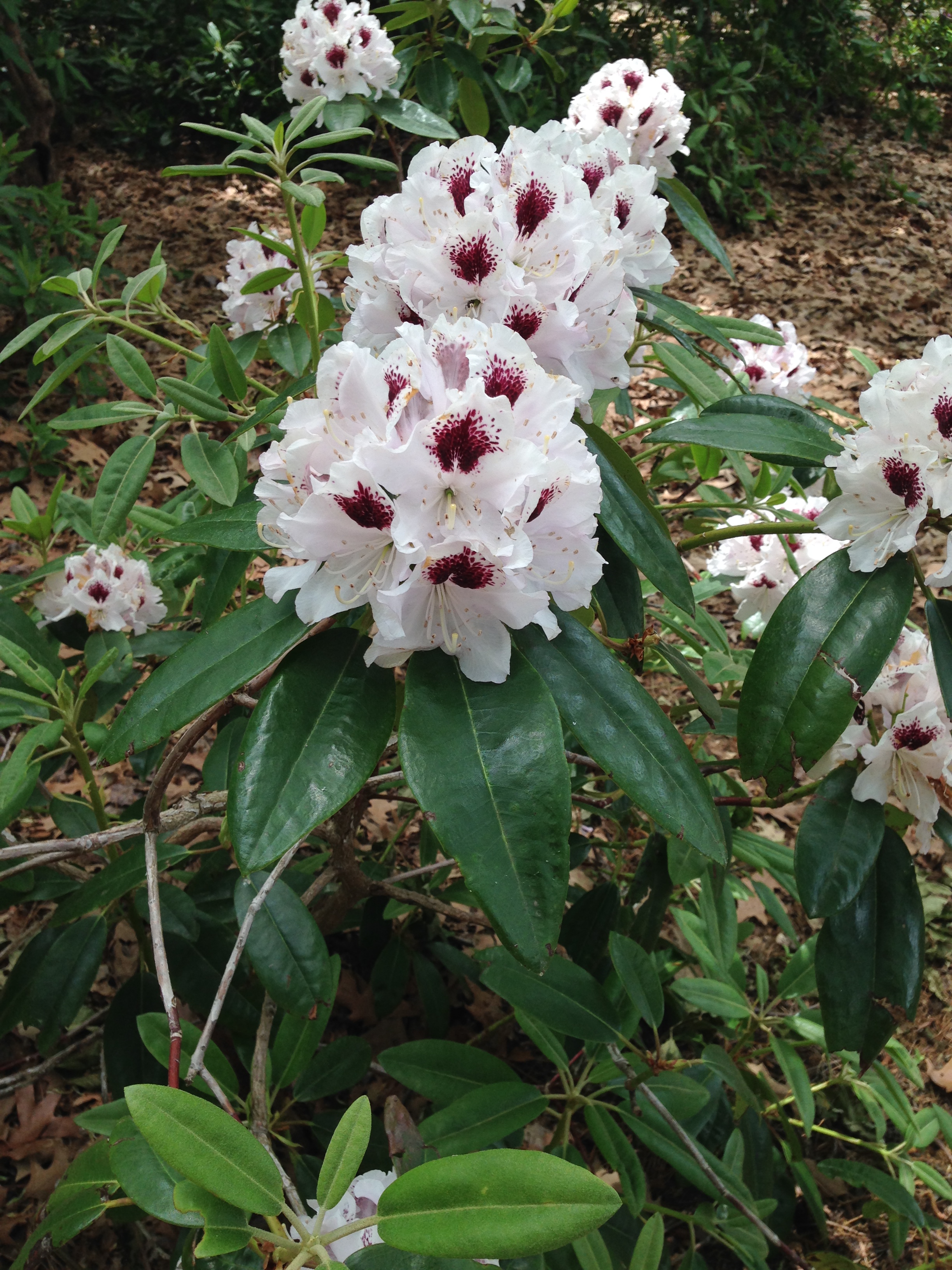 April 2016 (22)