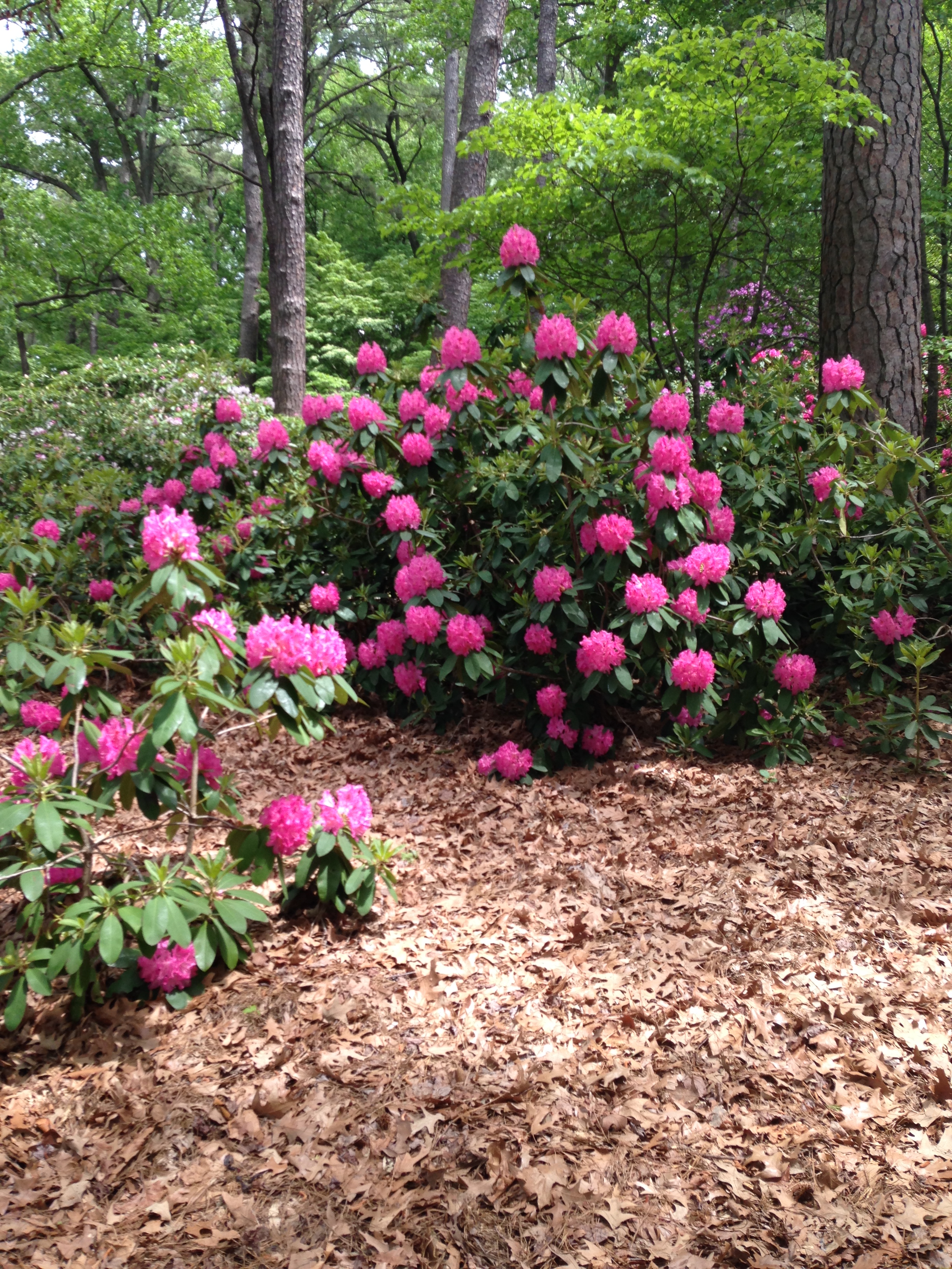 April 2016 (23)