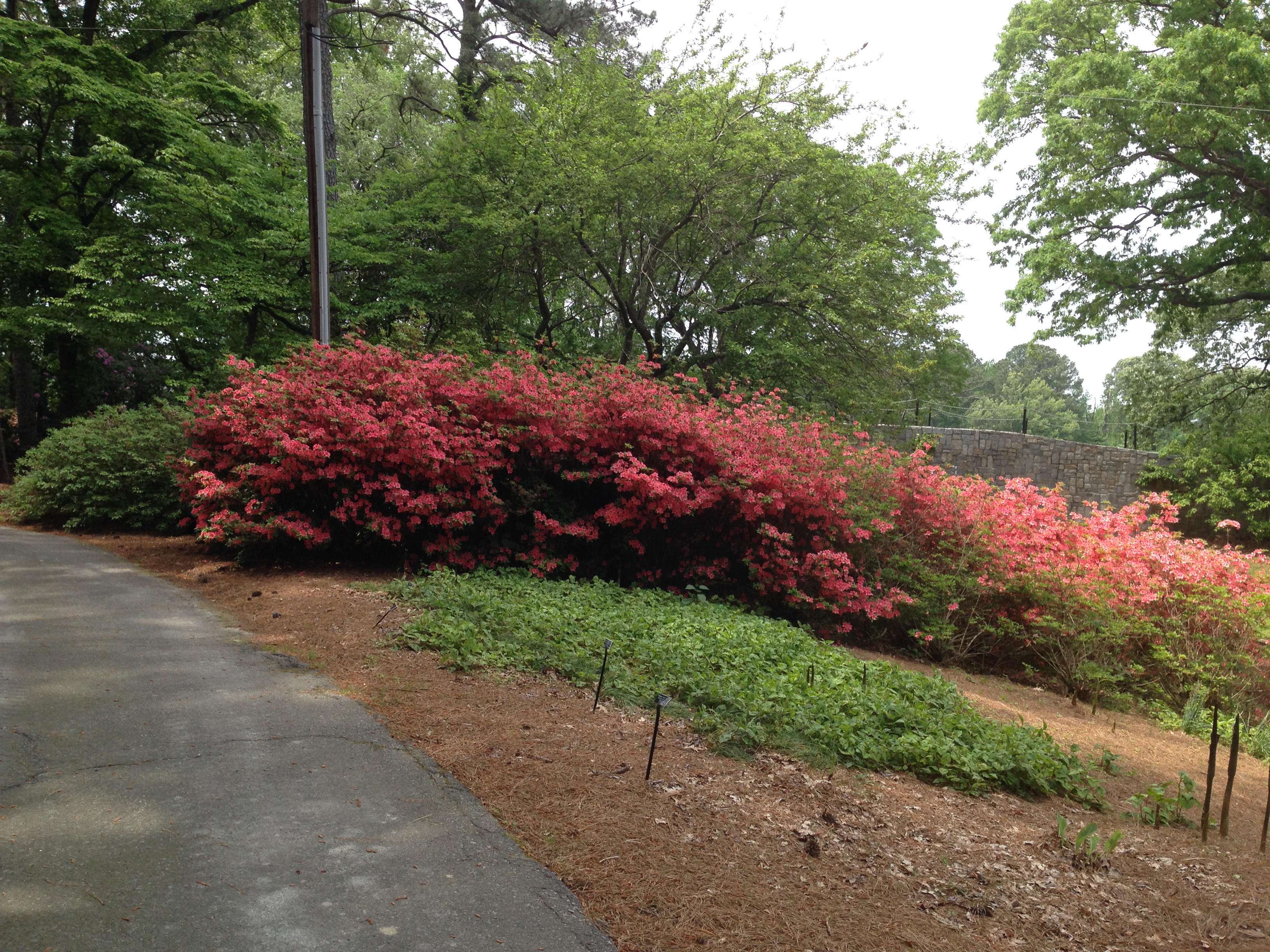 April 2016 (24)