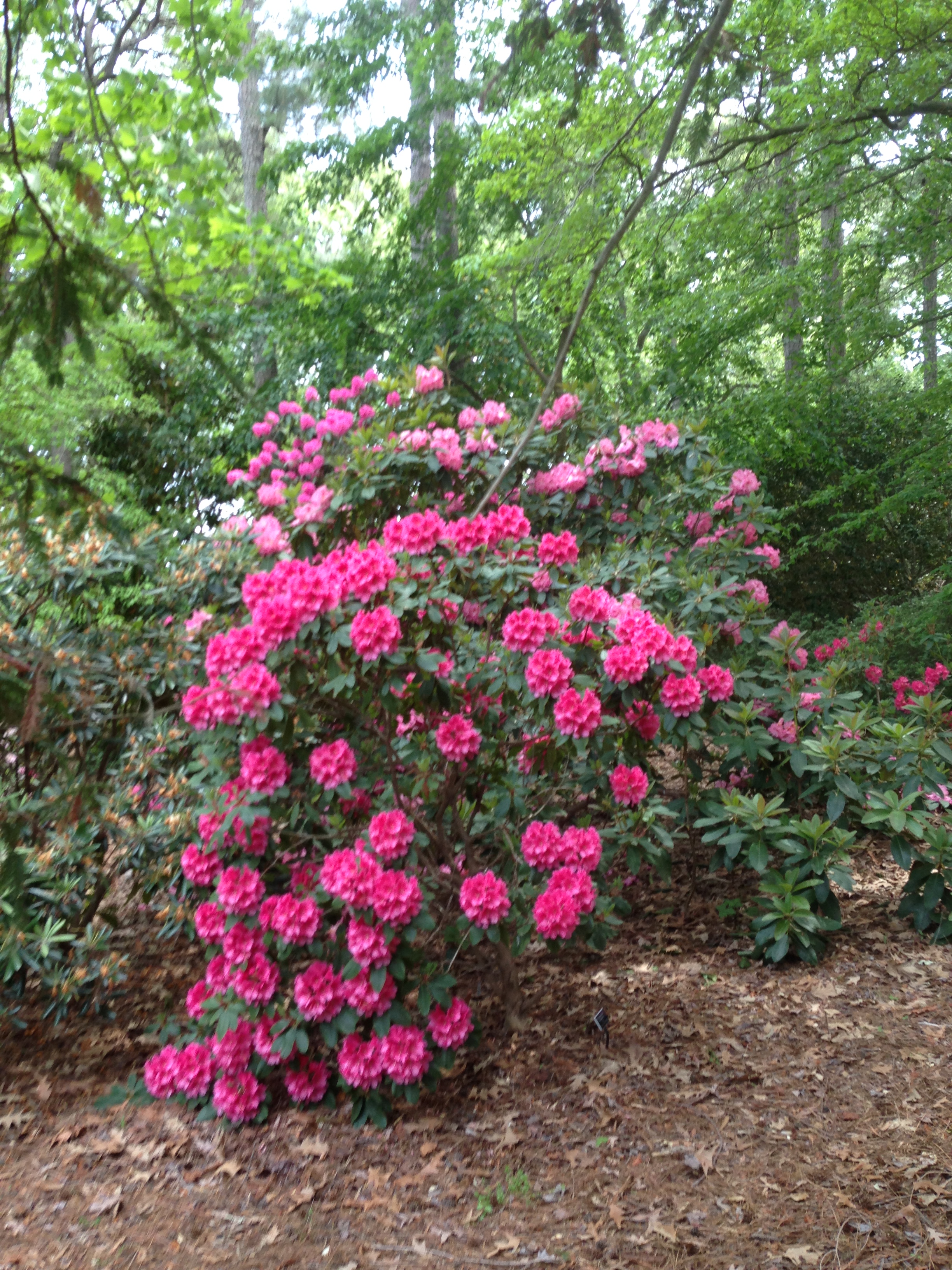 April 2016 (26)