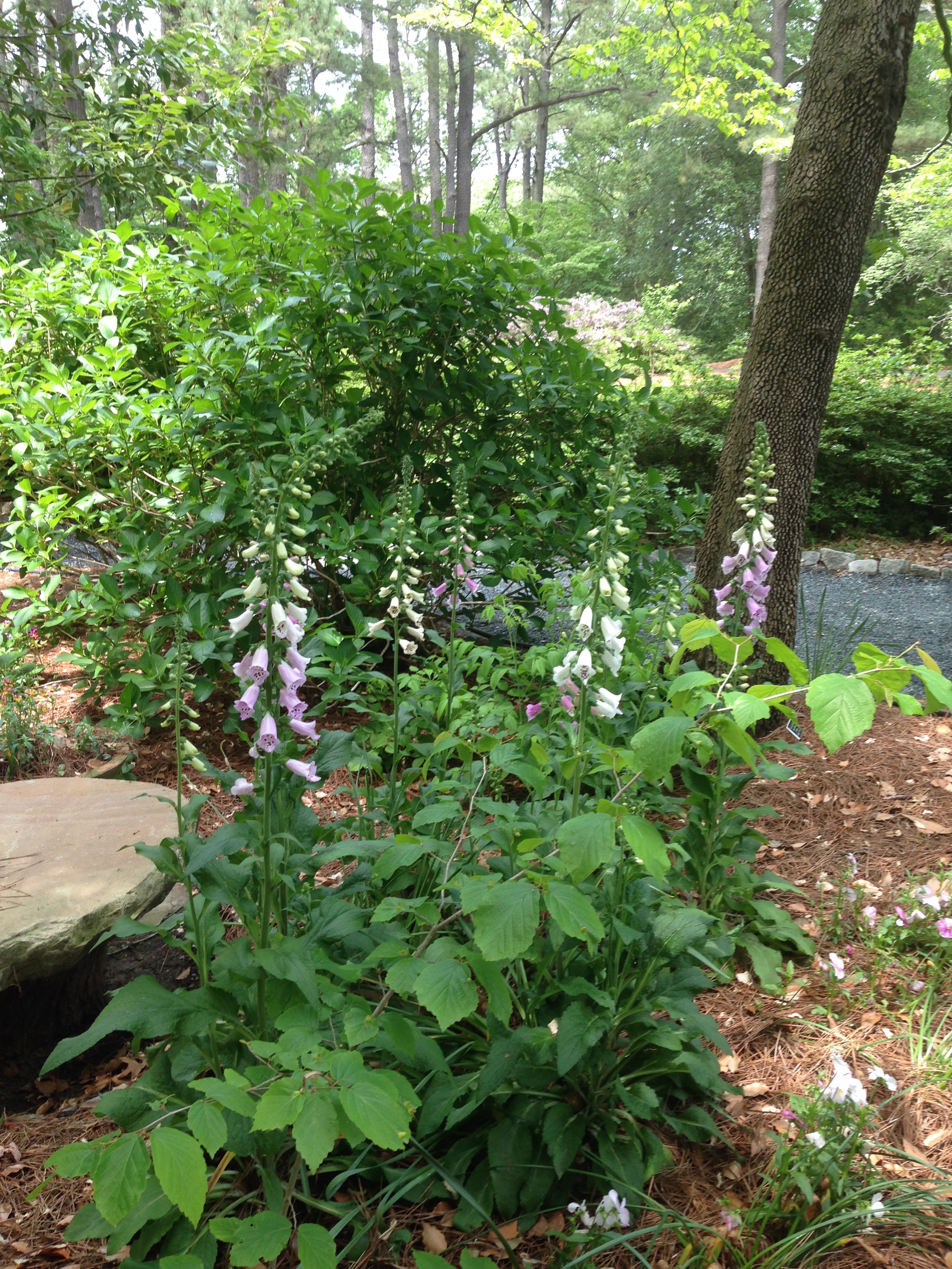April 2016 (29)