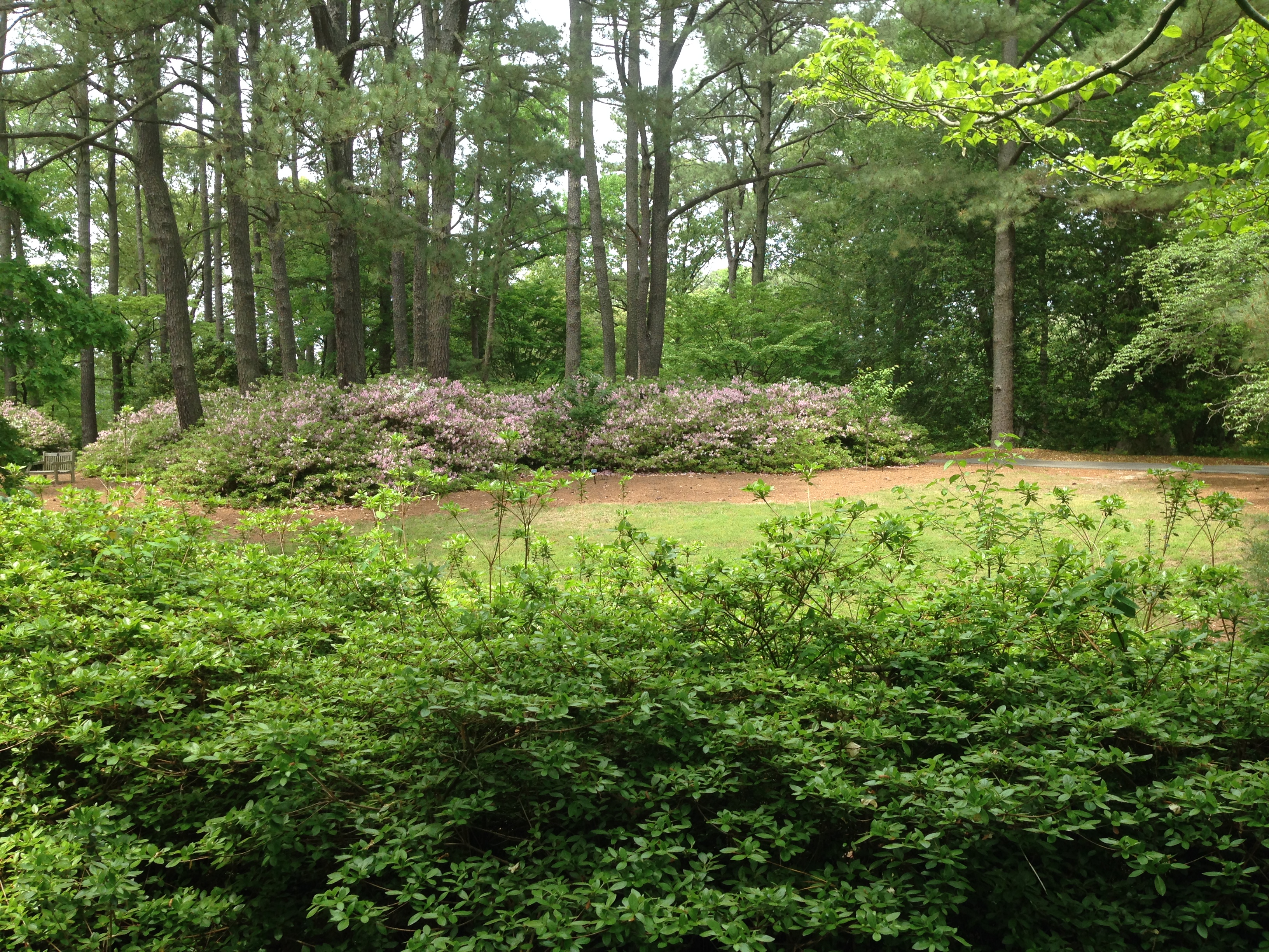 April 2016 (30)