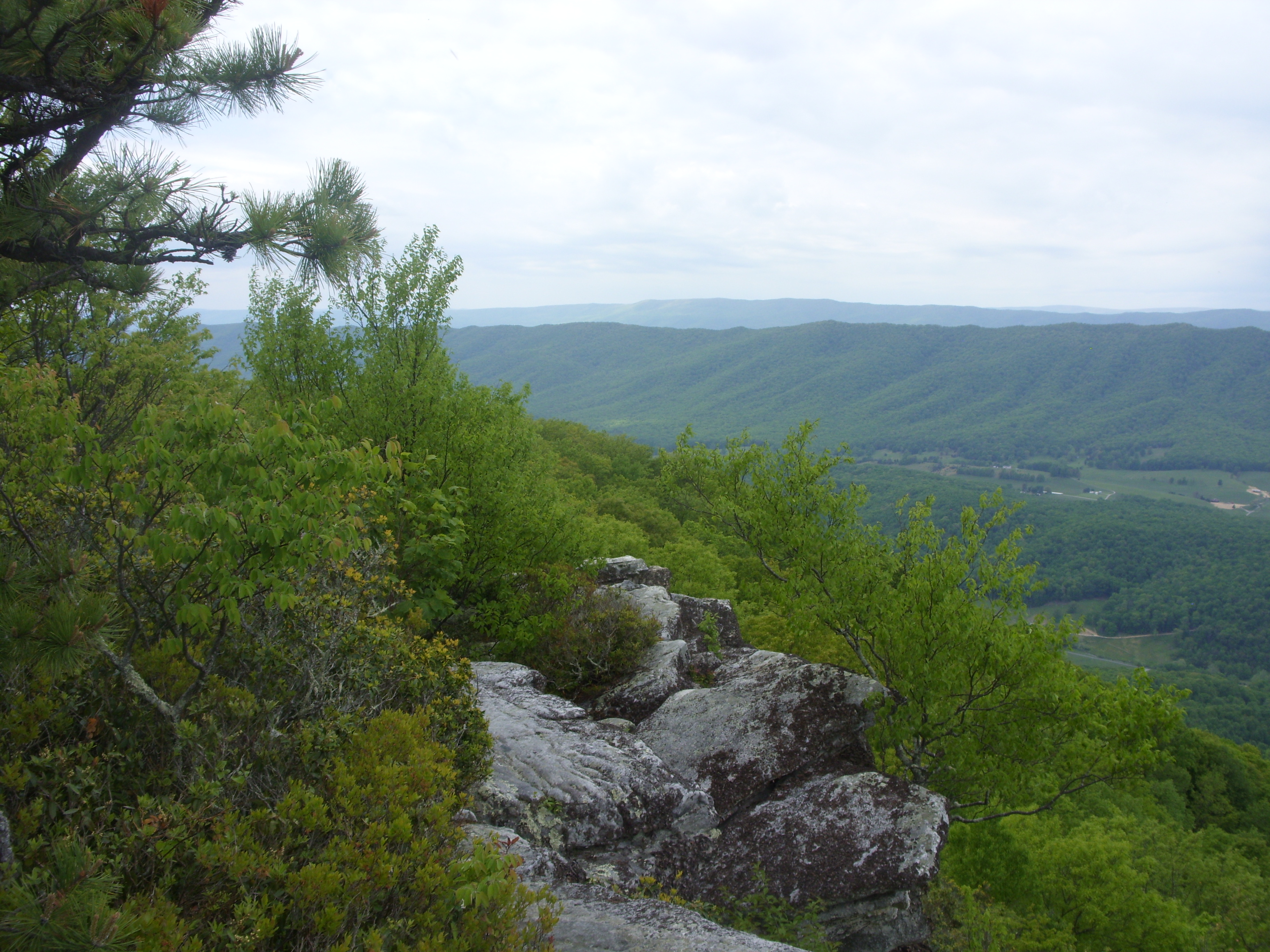 March 2016 (30)