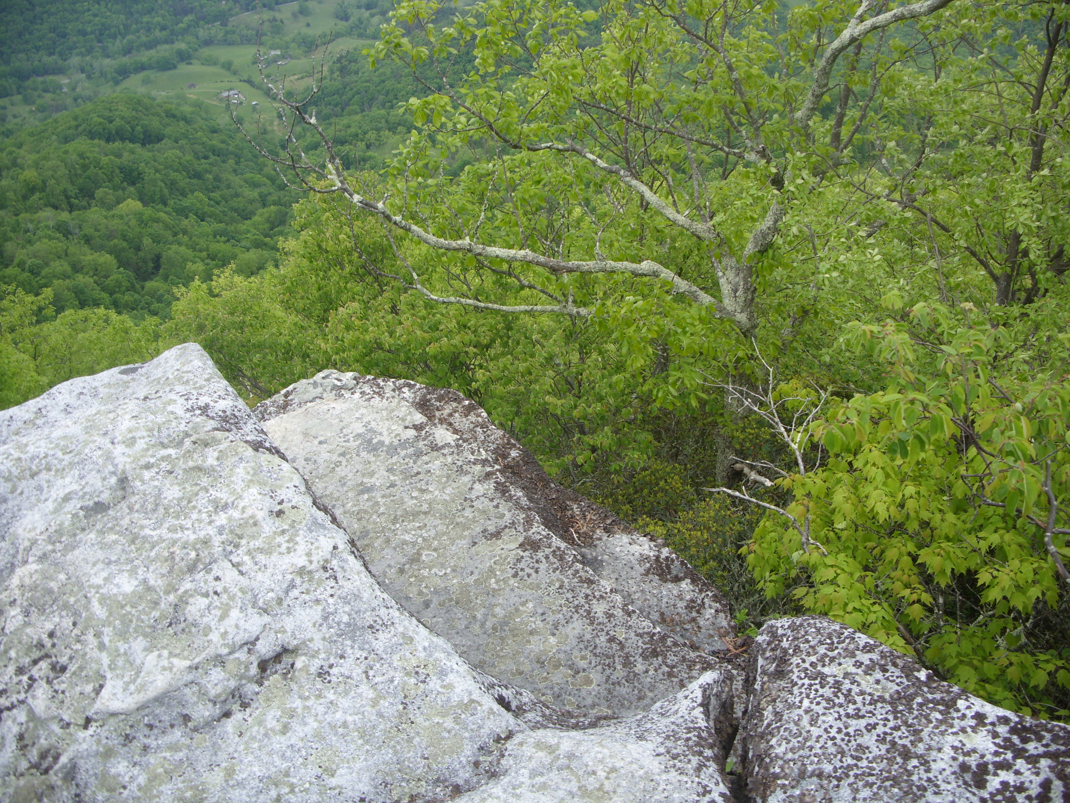 March 2016 (31)
