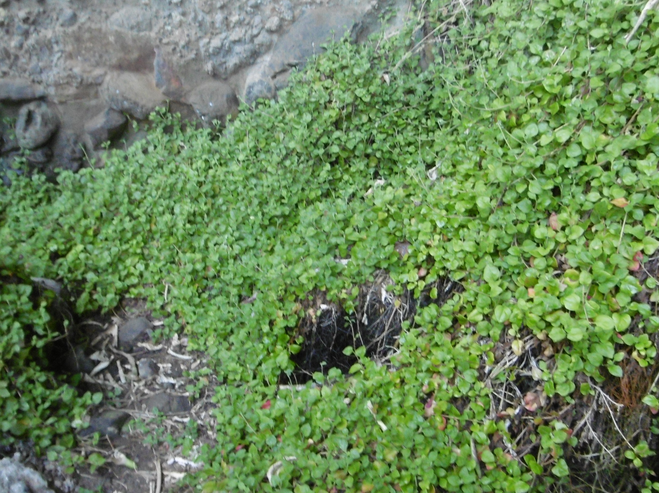 May 2016 (3)