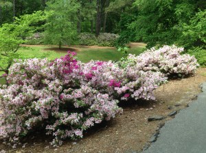 April 2016 (25)