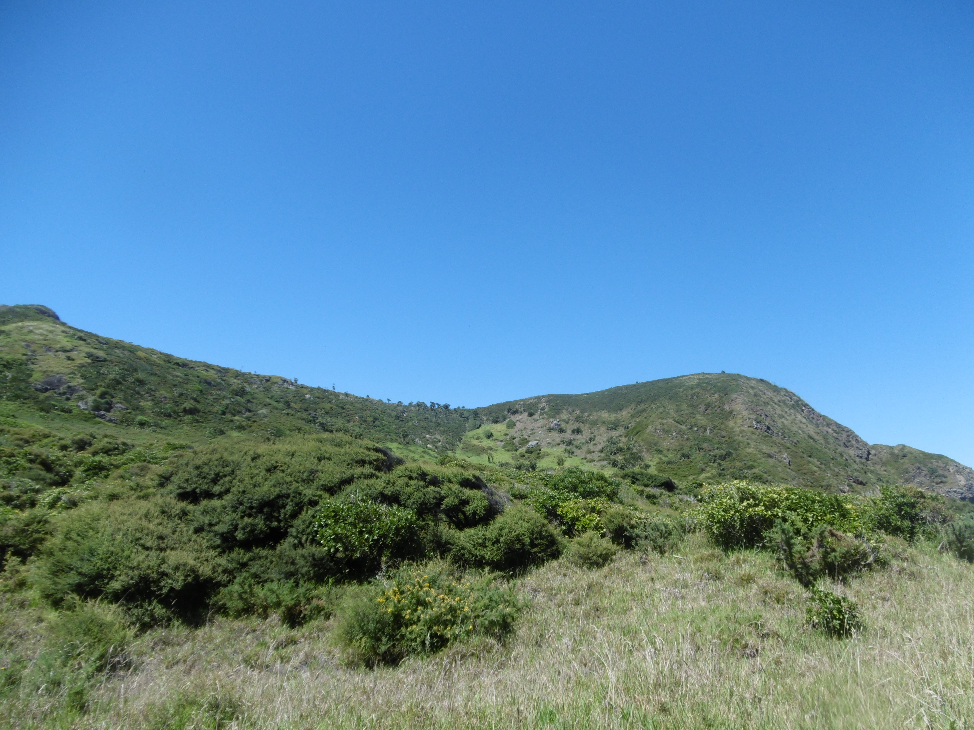 May 2016 (14)