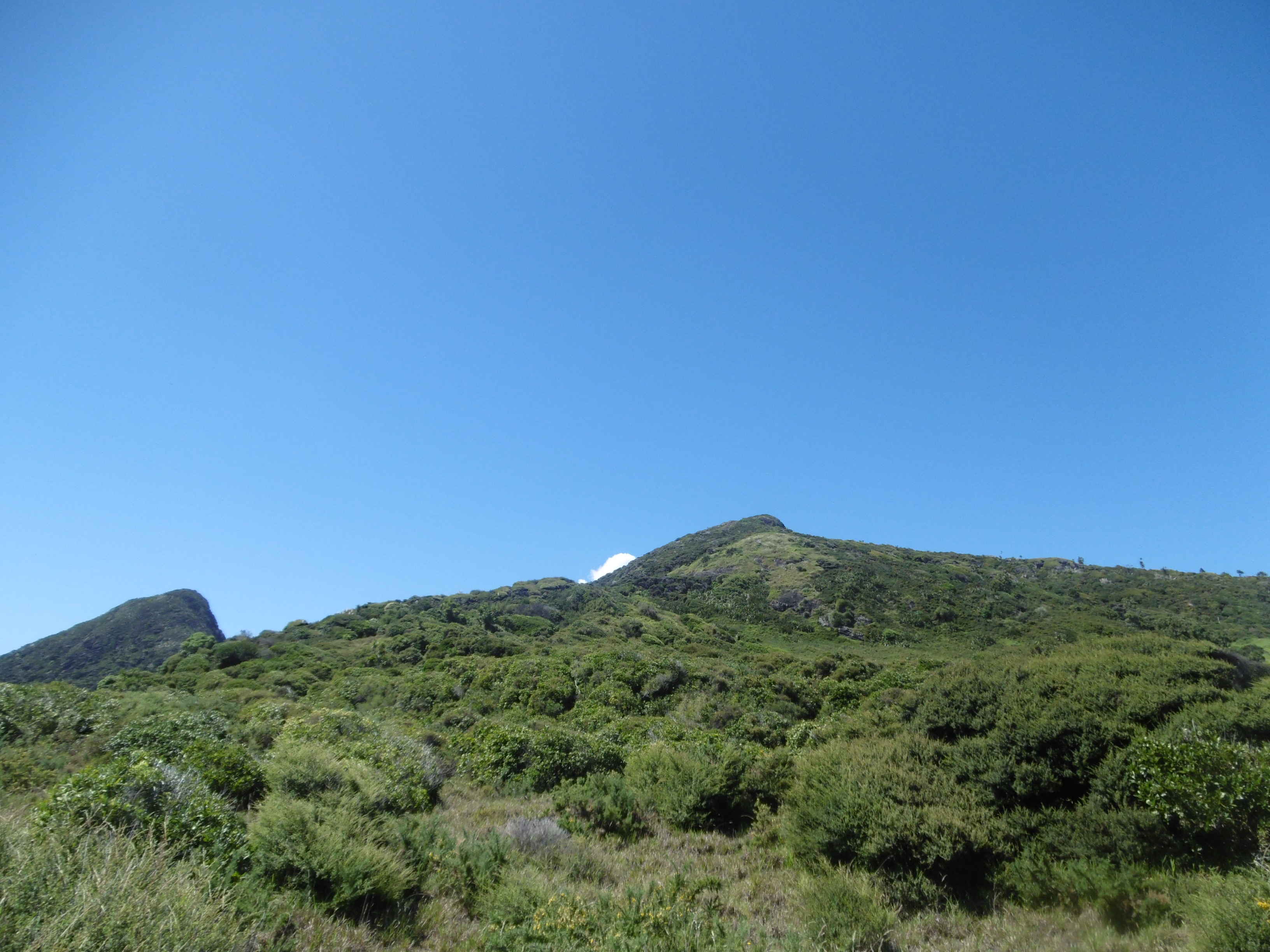 May 2016 (15)