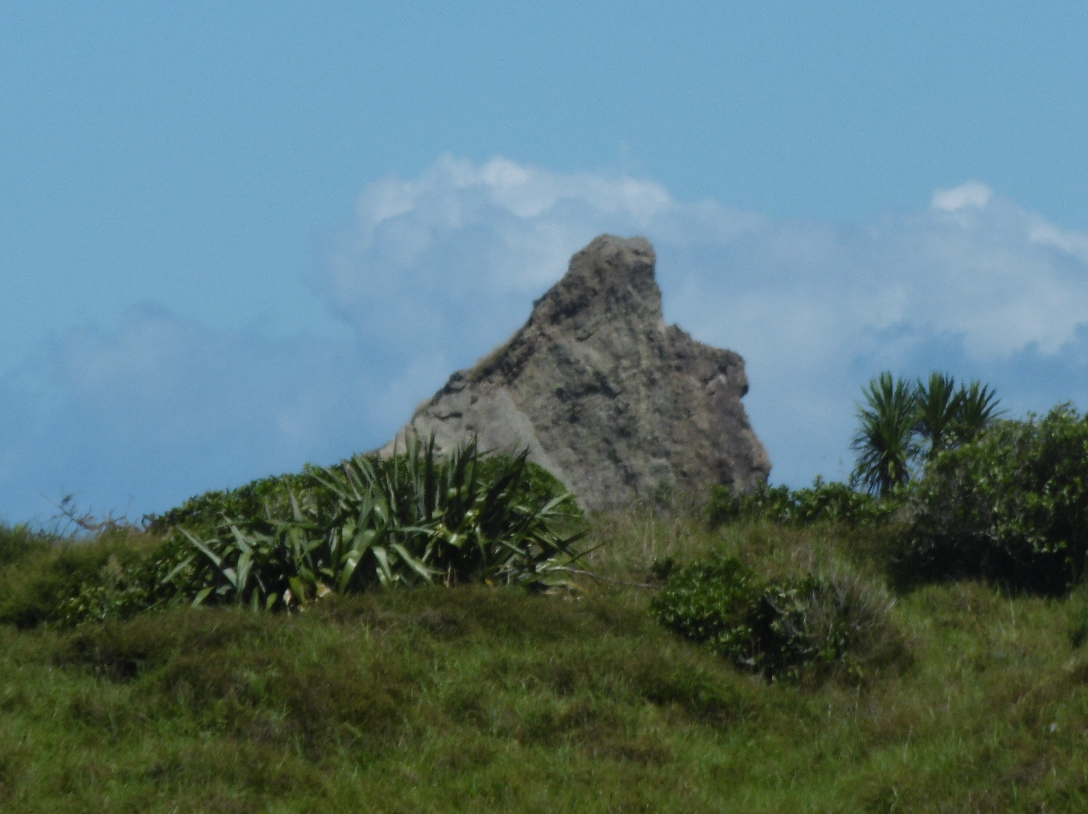 May 2016 (16)
