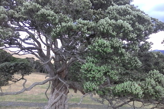 marmsky devotions July 2016 (13)