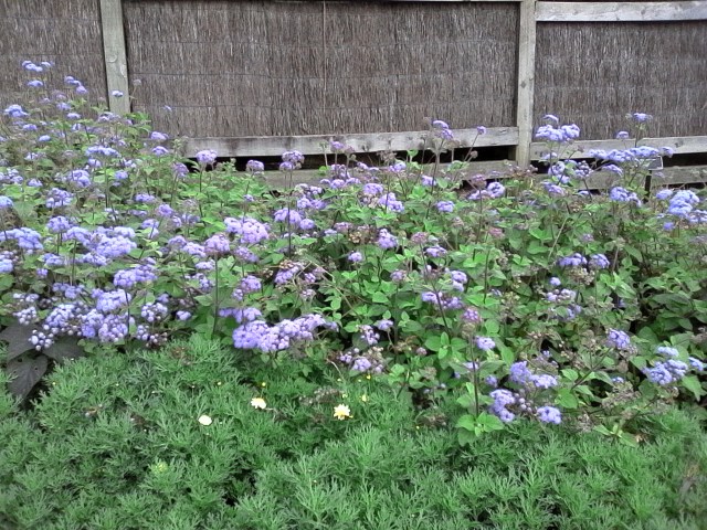 marmsky devotions July 2016 (19)