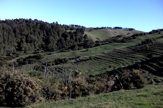 marmsky devotions July 2016 (27)