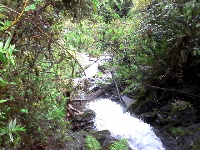 marmsky devotions July 2016 (30)