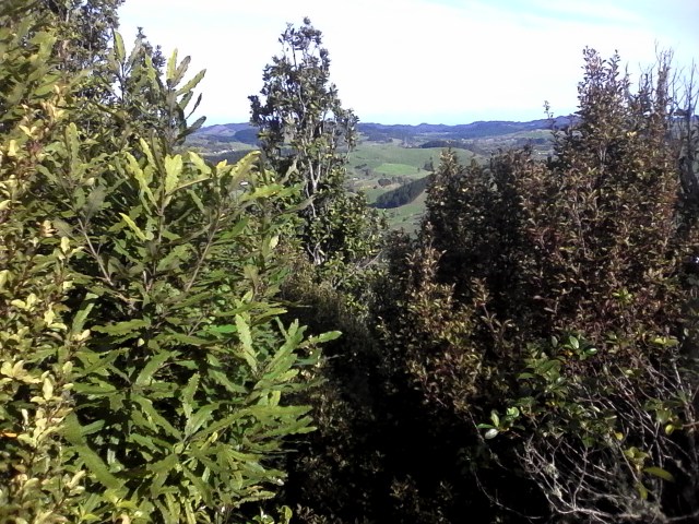 marmsky devotions July 2016 (31)