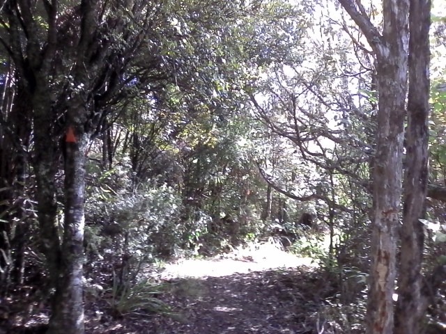 marmsky devotions pics August 2016 (1)