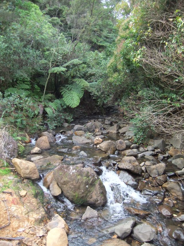 marmsky devotions pics August 2016 (10)