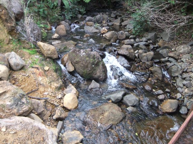 marmsky devotions pics August 2016 (11)