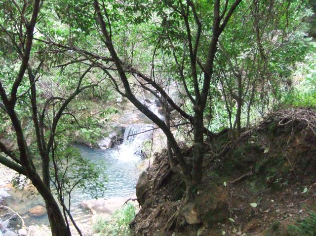 marmsky devotions pics August 2016 (12)