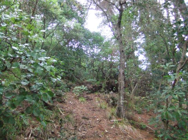 marmsky devotions pics August 2016 (16)