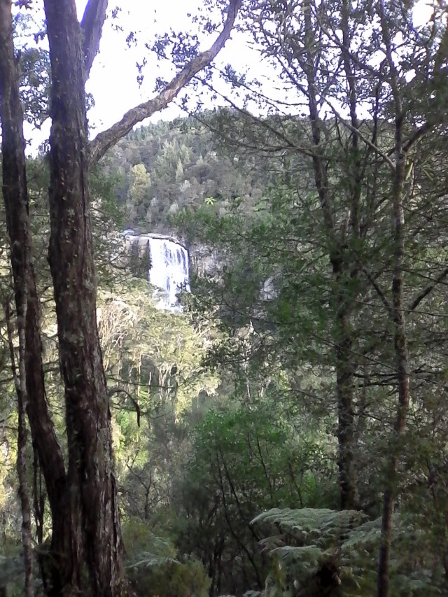 marmsky devotions pics August 2016 (21)