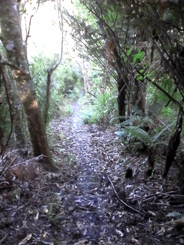 marmsky devotions pics August 2016 (25)