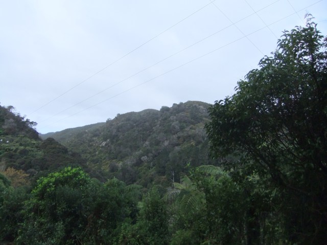 marmsky devotions pics August 2016 (9)