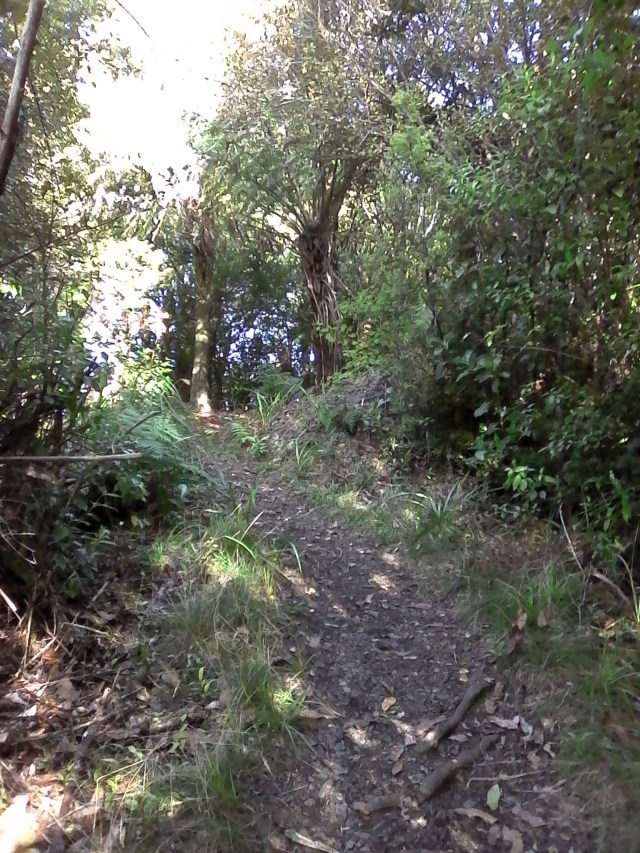 marmsky devotions pics August 2016 (26)