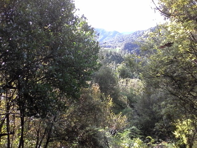 marmsky devotions pics August 2016 (29)