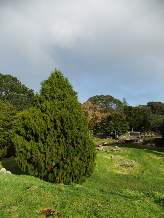 marmsky devotions pics September 2016 (13)